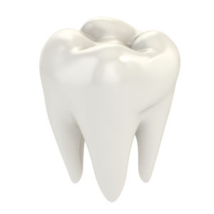 shiny white tooth